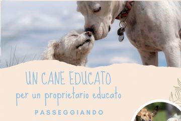 UN CANE EDUCATO per un padrone educato - Passeggiando