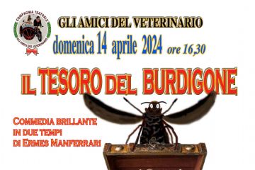 Il tesoro del burdigone