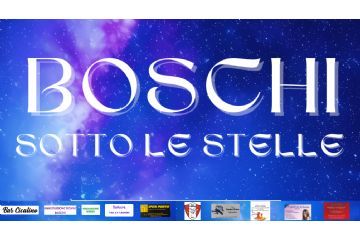 Boschi sotto le stelle!