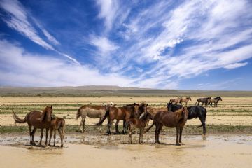 &quot; Il Viaggio Continua&quot;, torna il ciclo di incontri alla scoperta di luoghi e itinerari lontani