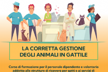 Corso di formazione sulla gestione degli animali in gattile