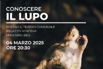 Conoscere il lupo