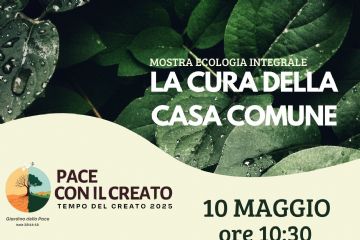 La cura della casa comune