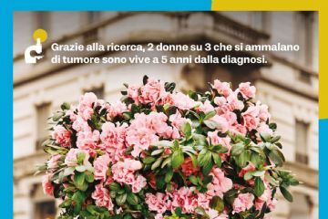 Azalea della Ricerca