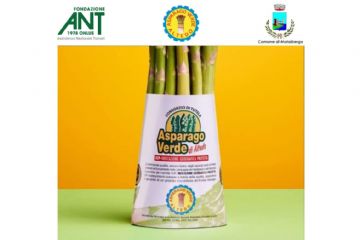 Banchetto Fondazione ANT alla Sagra dell&#39;Asparago Verde di Altedo
