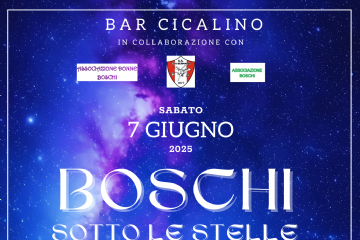 Boschi sotto le stelle!
