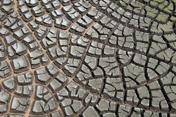 Fanghi di Depurazione In Agricoltura: Problema o Opportunit&#224;?