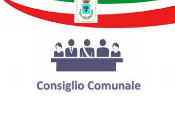 Consiglio Comunale