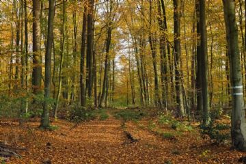 A SPASSO NELLA NATURA!