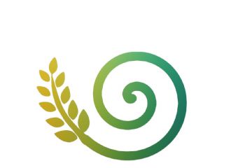 Pranzo per la bottega solidale Vital&#236;a