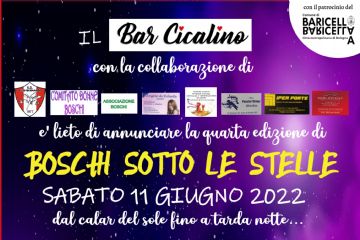 Boschi sotto le stelle