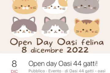 Oasi Felina aperta e in festa