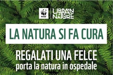 Lettura, laboratorio e Urban Nature: con la biblioteca &quot;Rodari&quot; a Granarolo in Festa