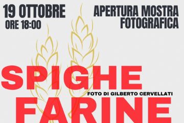 Spighe, Farine e Pane