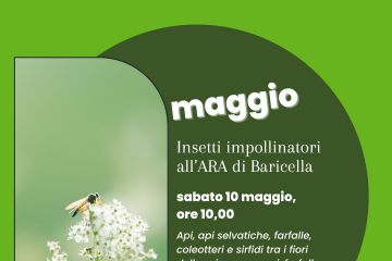 Insetti impollinatori di Pianura all&#39;ARA di Baricella