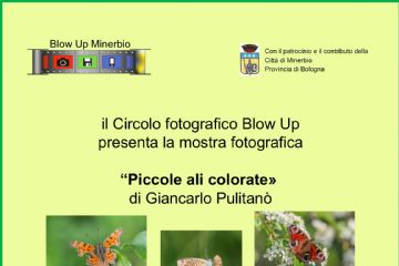 Inaugurazione mostra fotografica "Piccole ali colorate" 