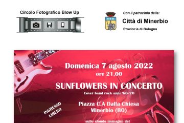 SUNFLOWERS IN CONCERTO